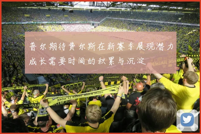 普尔期待费尔斯在新赛季展现潜力成长需要时间的积累与沉淀