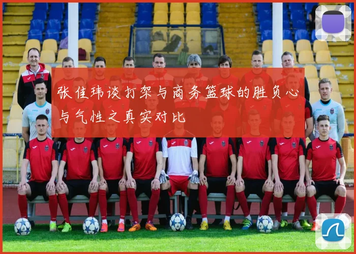 张佳玮谈打架与商务篮球的胜负心与气性之真实对比