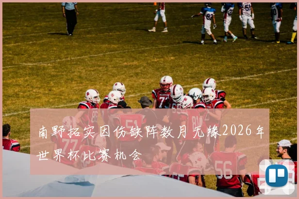 南野拓实因伤缺阵数月无缘2026年世界杯比赛机会