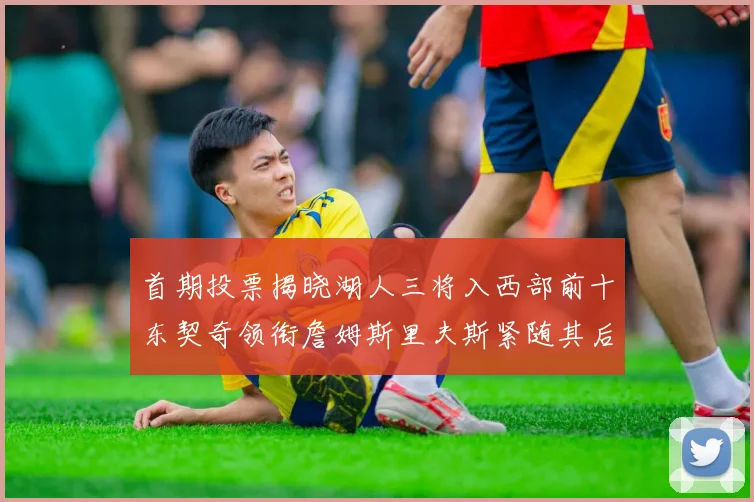 首期投票揭晓湖人三将入西部前十东契奇领衔詹姆斯里夫斯紧随其后